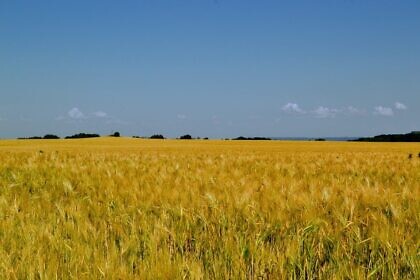 Die letzte Krise (von der wir erfahren werden)