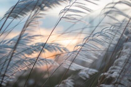 Die Welt hat keine Bringschuld