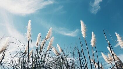 Auf Sylt ist weniger Stress