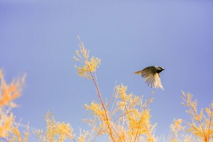 Im Übrigen sage ich: Überwachung!