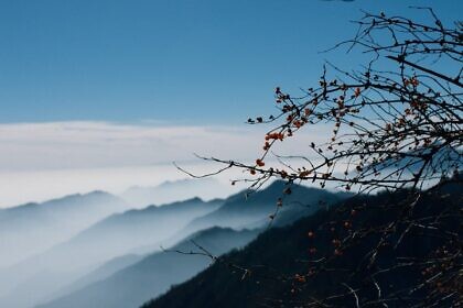 Chinaprotokoll, oder: Die Sprache der Vernichtung