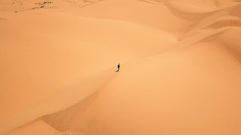 Foto von Ameer Basheer