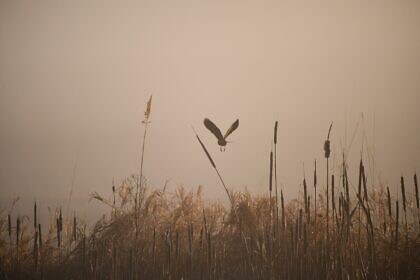 Die letzte Hausaufgabe