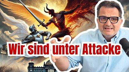 Wie böse sind NGOs?